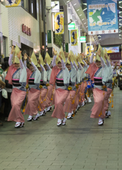 高円寺阿波踊り