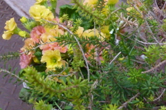 P1000216
