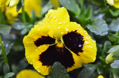 062