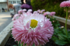 P1000024