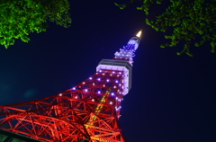 特殊電飾東京タワー