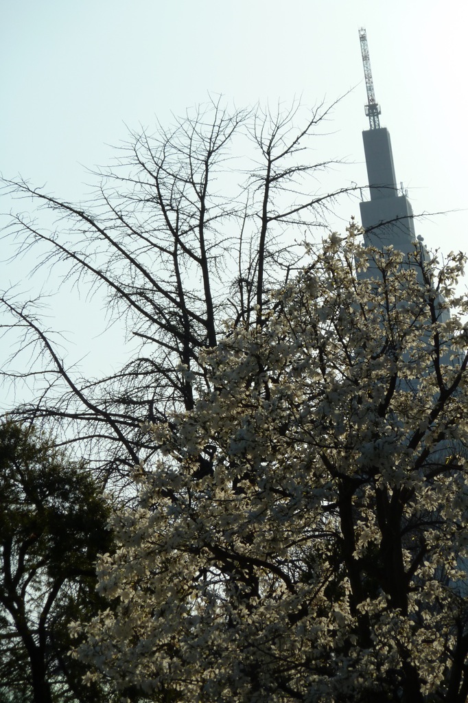P1000094