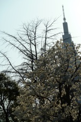 P1000094