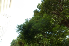 P1000042