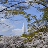 ２０１４．４．４　代々木公園