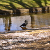 ２０１４．４．４　代々木公園