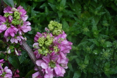P1000240