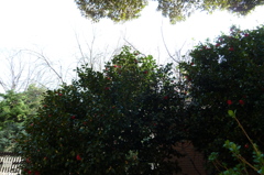 P1000036