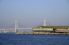 横浜ベイブリッジと大さん橋