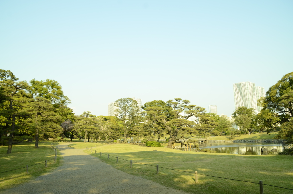 浜離宮恩賜庭園