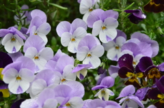 073
