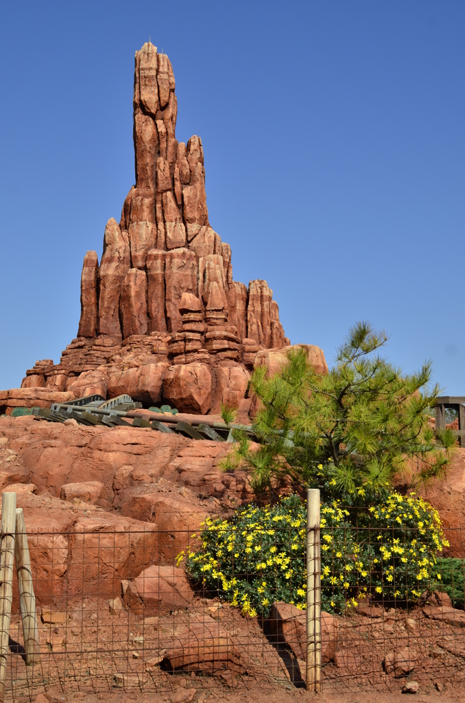 ディズニーランド