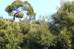 P1000031