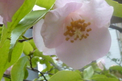 P1000278