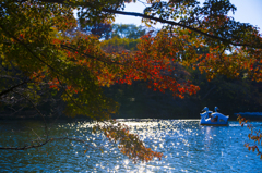 輝く水面と紅葉