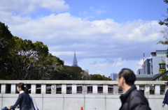 ２０１４．４．４　代々木公園