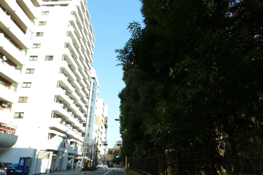 P1000040