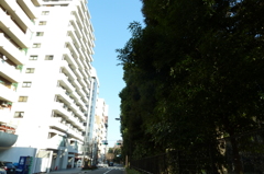 P1000040