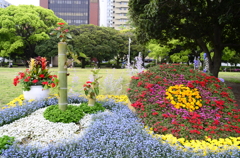 横浜　山下公園花壇展