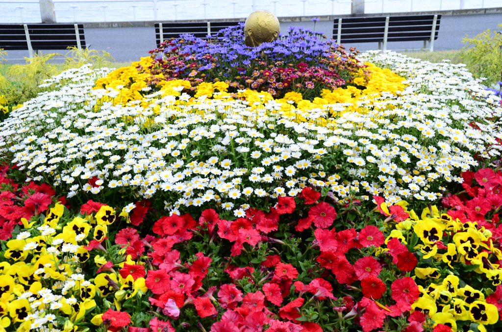 横浜　山下公園花壇展