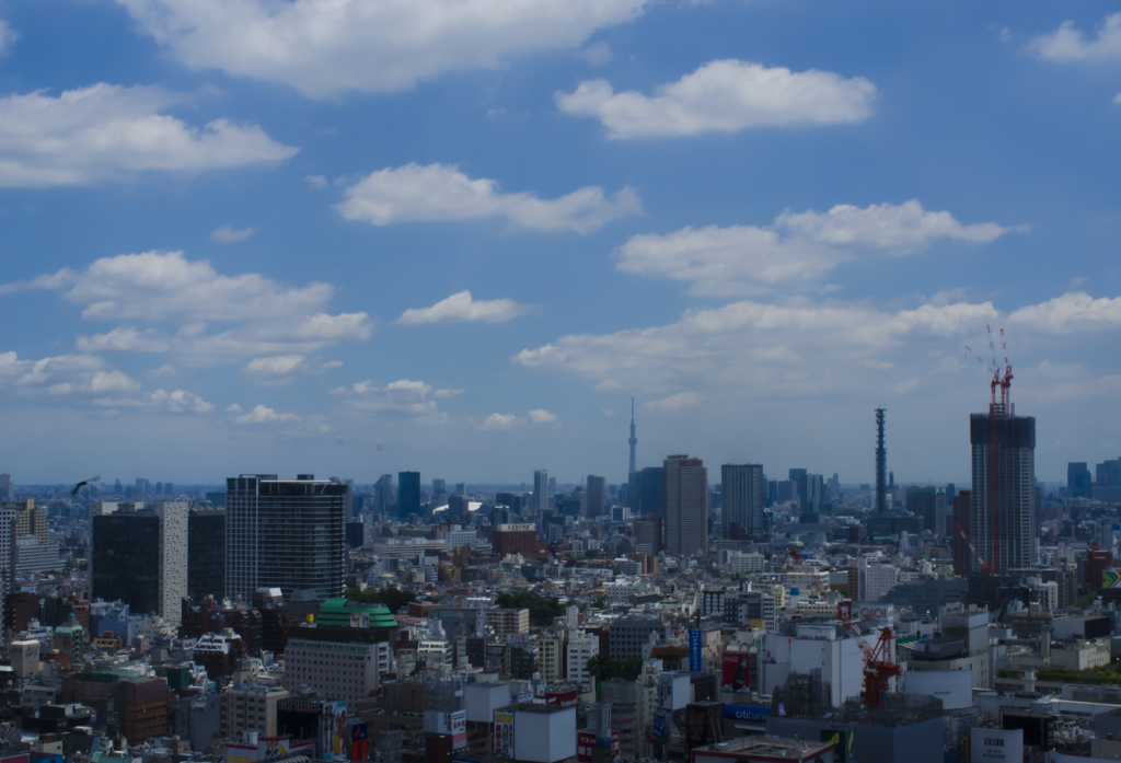 都会ののどかな空