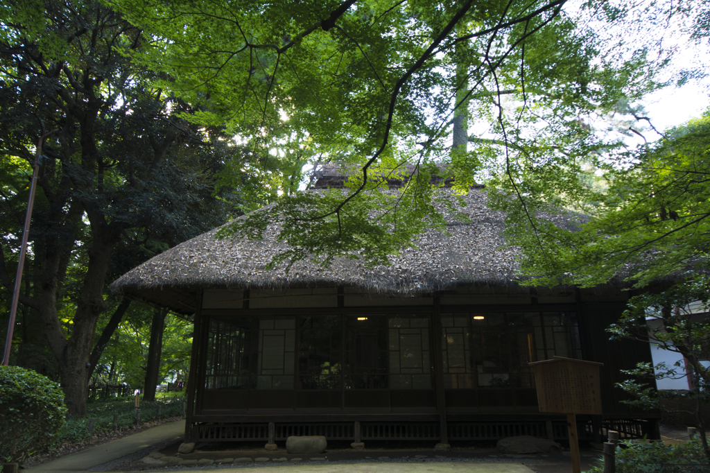 芦花公園　古民家風資料館