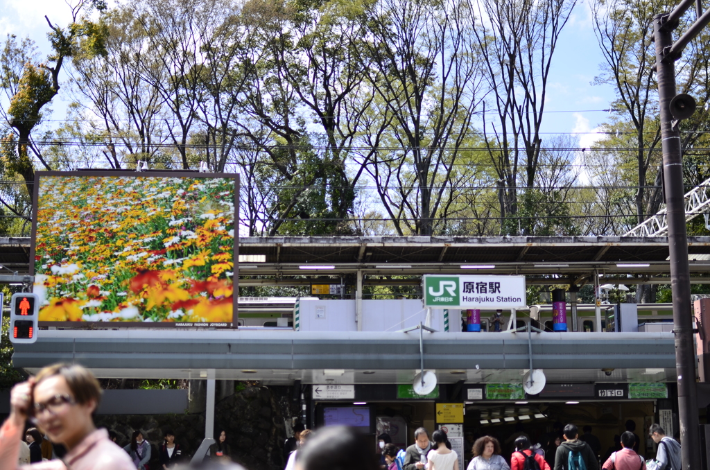 原宿駅