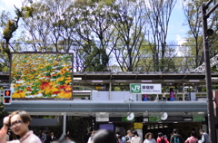 原宿駅