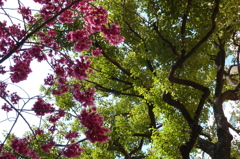 P1000013