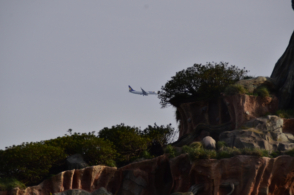 ディズニーランド