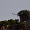 ディズニーランド