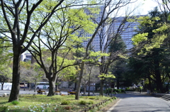 日比谷公園２０１４・４・１１