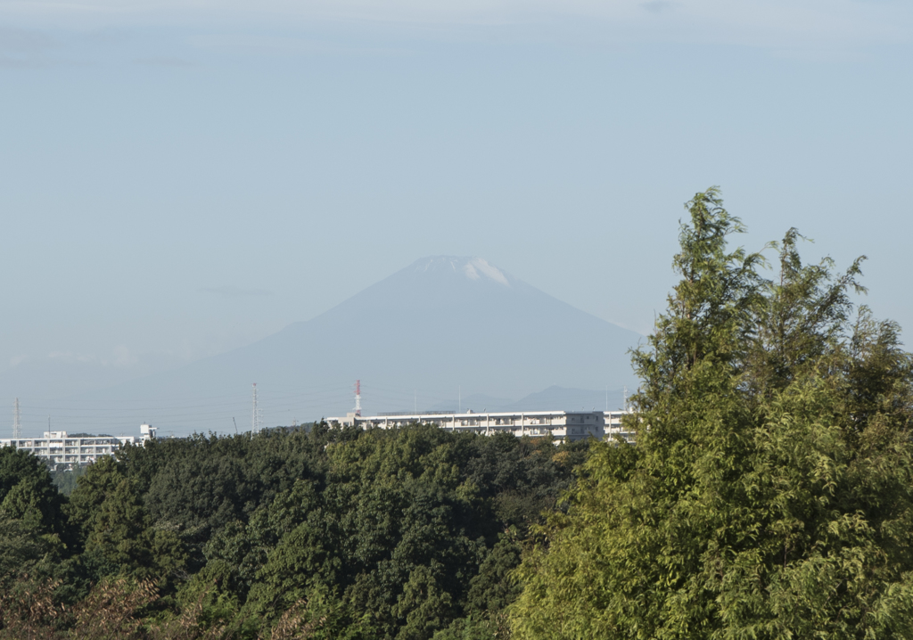 横浜から見た富士山