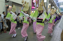 高円寺阿波踊り