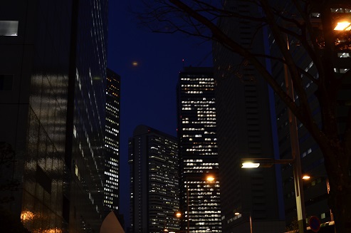 D7000 177_2