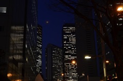 D7000 177_2