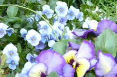 P1000120