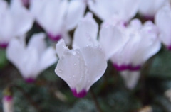053