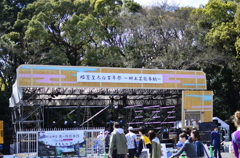 ２０１４．４．４　代々木公園