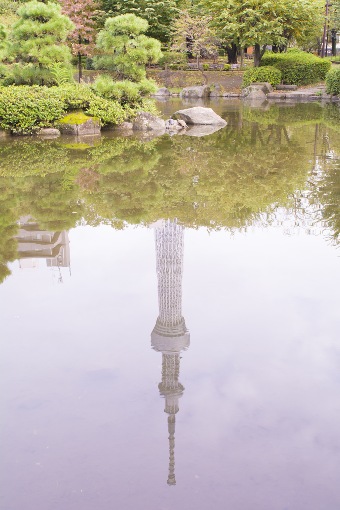 隅田公園　逆さ東京スカイツリー