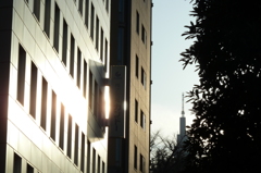 P1000116