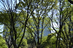 日比谷公園２０１４・４・１１