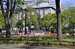 日比谷公園２０１４・４・１１