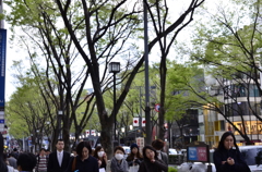 原宿