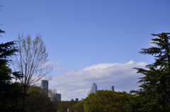 ２０１４．４．４　代々木公園