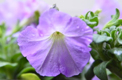 097