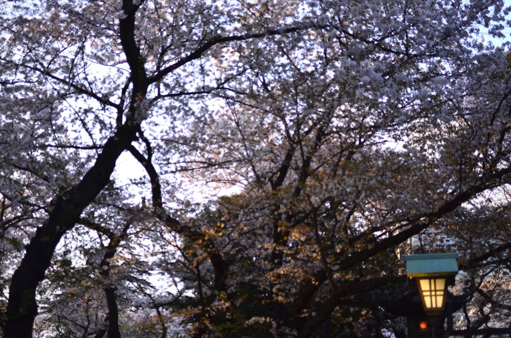 靖国神社