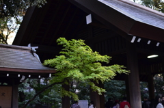 靖国神社