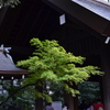 靖国神社