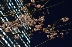 D7000 192_3